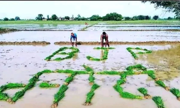 Fact Check: BJP leader shares fake image